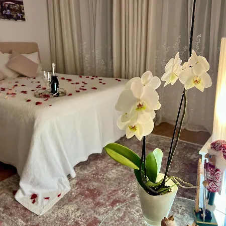 Louis & Elza Old Town Romantic 아파트 *